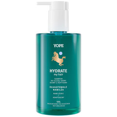 Mitrinošs šampūns sausai ādai ar peptīdiem Yope Hydrate, 300ml. cena un informācija | Šampūni | 220.lv