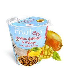 Лакомства для собак Fruitees Mango 0,2kg цена и информация | Лакомства для собак | 220.lv