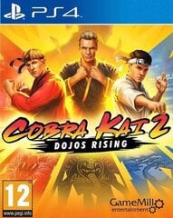 Видеоигра для Switch Just For Games Cobra Kai 2: Dojos Rising цена и информация | Компьютерные игры | 220.lv