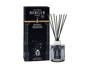 Maison Berger Paris Aroma difuzors Olymp pelēks Intense glitter Exquisite sparkle 115 ml cena un informācija | Mājas aromāti | 220.lv