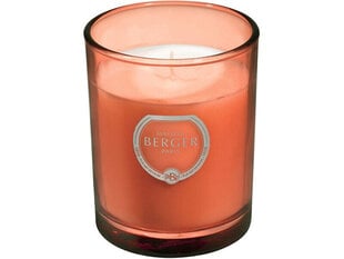 Maison Berger Paris Aromātiskā svece Olymp copper Intense glitter Exquisite Sparkle (Candle) 180 g cena un informācija | Sveces un svečturi | 220.lv