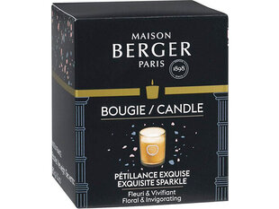 Maison Berger Paris Aromātiskā svece Olymp copper Intense glitter Exquisite Sparkle (Candle) 180 g cena un informācija | Sveces un svečturi | 220.lv