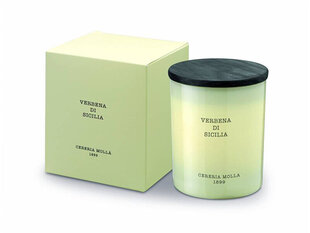 Cereria Mollá Aromātiskā krēmsvece Verbena di Sicilia (Candle) 230 g cena un informācija | Sveces un svečturi | 220.lv