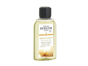 Maison Berger Paris Uzpilde difuzoram Aroma Energy Fresh toniks Zestes Toniques (Bouquet Recharge/Refill) 200 ml cena un informācija | Mājas aromāti | 220.lv