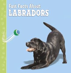 Fast Facts About Labradors cena un informācija | Grāmatas pusaudžiem un jauniešiem | 220.lv