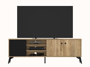 Televizora galdiņš ML Meble Agis 06, brūns/melns cena un informācija | TV galdiņi | 220.lv