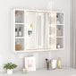 Spoguļskapis ar LED apgaismojumu, balts, 76x15x55cm cena un informācija | Vannas istabas skapīši | 220.lv