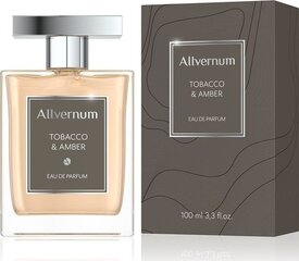 Парфюмированная вода для мужчин Allverne Tobacco & Amber EDP, 100 мл цена и информация | Мужские духи | 220.lv