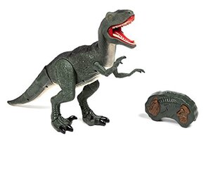 Dinozauru Velociraptor RC + skaņas цена и информация | Игрушки для мальчиков | 220.lv