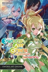 Sword Art Online, Vol. 17 (light novel): Alicization Awakening цена и информация | Книги для подростков и молодежи | 220.lv