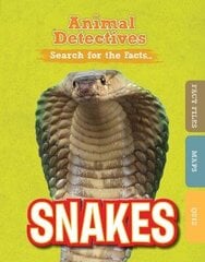 Snakes цена и информация | Книги для подростков и молодежи | 220.lv