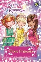 Secret Kingdom: Pixie Princess: Special 4 цена и информация | Книги для подростков и молодежи | 220.lv