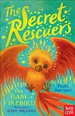 Secret Rescuers: The Baby Firebird cena un informācija | Bērnu grāmatas | 220.lv