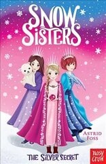Snow Sisters: The Silver Secret цена и информация | Книги для детей | 220.lv