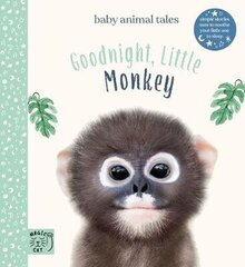 Goodnight, Little Monkey: Simple stories sure to soothe your little one to sleep цена и информация | Книги для подростков и молодежи | 220.lv