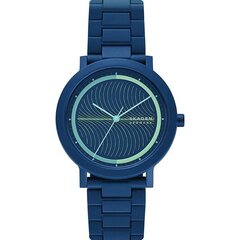 Vīriešu Pulkstenis Skagen AAREN OCEAN BLUE (Ø 41 mm) цена и информация | Мужские часы | 220.lv