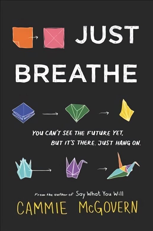 Just Breathe cena un informācija | Grāmatas pusaudžiem un jauniešiem | 220.lv