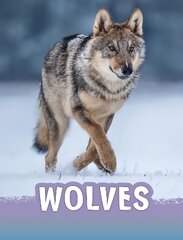 Рисование По Номерам Wolves, Графитный Карандаш цена и информация | Книги для подростков и молодежи | 220.lv