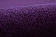 Paklājs - Paklāju segumi ETON violeta цена и информация | Paklāji | 220.lv