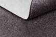 Paklājs - Paklāju segumi SANTA FE brūns 42 gluda, viendabīga, vienkrāsains цена и информация | Paklāji | 220.lv