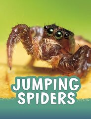 Jumping Spiders цена и информация | Книги для подростков  | 220.lv