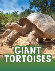 Giant Tortoises цена и информация | Книги для подростков  | 220.lv