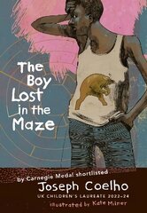 Boy Lost in the Maze cena un informācija | Grāmatas pusaudžiem un jauniešiem | 220.lv