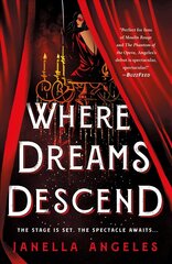 Where Dreams Descend: A Novel cena un informācija | Grāmatas pusaudžiem un jauniešiem | 220.lv