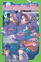 Little Witch Academia (light novel): The Nonsensical Witch and the Country of the Fairies цена и информация | Книги для подростков и молодежи | 220.lv