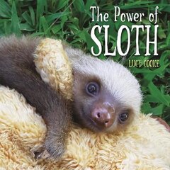 Power of Sloth cena un informācija | Grāmatas pusaudžiem un jauniešiem | 220.lv