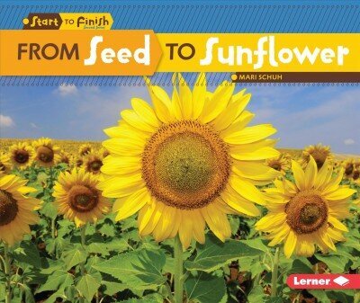 From Seed to Sunflower цена и информация | Grāmatas pusaudžiem un jauniešiem | 220.lv