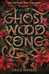 Ghost Wood Song цена и информация | Книги для подростков и молодежи | 220.lv