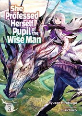 She Professed Herself Pupil of the Wise Man (Light Novel) Vol. 3 цена и информация | Фантастика, фэнтези | 220.lv