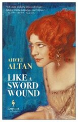 Like A Sword Wound цена и информация | Фантастика, фэнтези | 220.lv