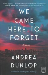 We Came Here to Forget: A Novel цена и информация | Фантастика, фэнтези | 220.lv