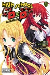 High School DxD, Vol. 8 (light novel) цена и информация | Фантастика, фэнтези | 220.lv