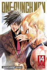 One-Punch Man, Vol. 14 cena un informācija | Fantāzija, fantastikas grāmatas | 220.lv