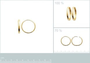 Серьги с золотым покрытием 750°, ⌀ 24 mm, произведено во Франции цена и информация | Серьги | 220.lv