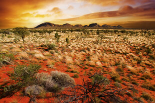 Fototapetes - Austrālijas ainava 375x250 cm cena un informācija | Fototapetes | 220.lv