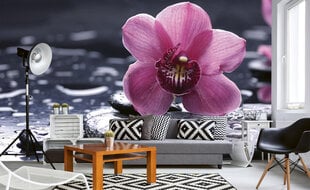 Fototapetes - Orhidejas 375x250 cm cena un informācija | Fototapetes | 220.lv