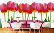 Fototapetes - Sarkanas tulpes uz balta fona 375x250 cm cena un informācija | Fototapetes | 220.lv