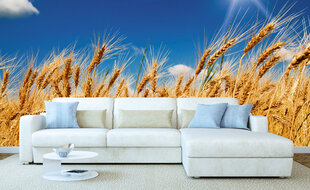 Фотообои - Пшеничное поле 375x250 см цена и информация | Фотообои | 220.lv