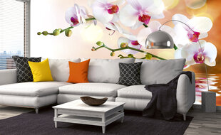 Fototapetes - Baltā orhideja 375x250 cm cena un informācija | Fototapetes | 220.lv