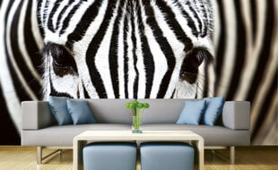 Fototapetes - Zebra 375x250 cm cena un informācija | Fototapetes | 220.lv