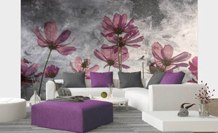 Фотообои - Фиолетовые цветы 375x250 см цена и информация | Фотообои | 220.lv