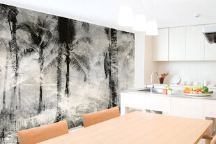 Фотообои - Черно-белые пальмы 375x250 см цена и информация | Фотообои | 220.lv