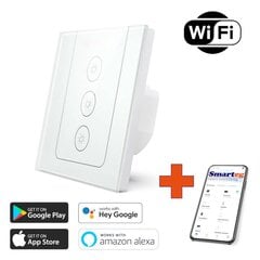 Smart Wall Light Switch RF Wi-Fi цена и информация | Электрические выключатели, розетки | 220.lv