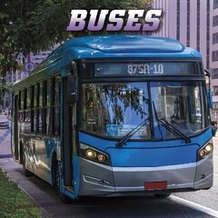 Buses цена и информация | Книги для подростков  | 220.lv