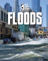 Floods cena un informācija | Grāmatas pusaudžiem un jauniešiem | 220.lv