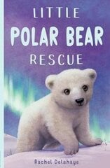 Little Polar Bear Rescue cena un informācija | Grāmatas pusaudžiem un jauniešiem | 220.lv